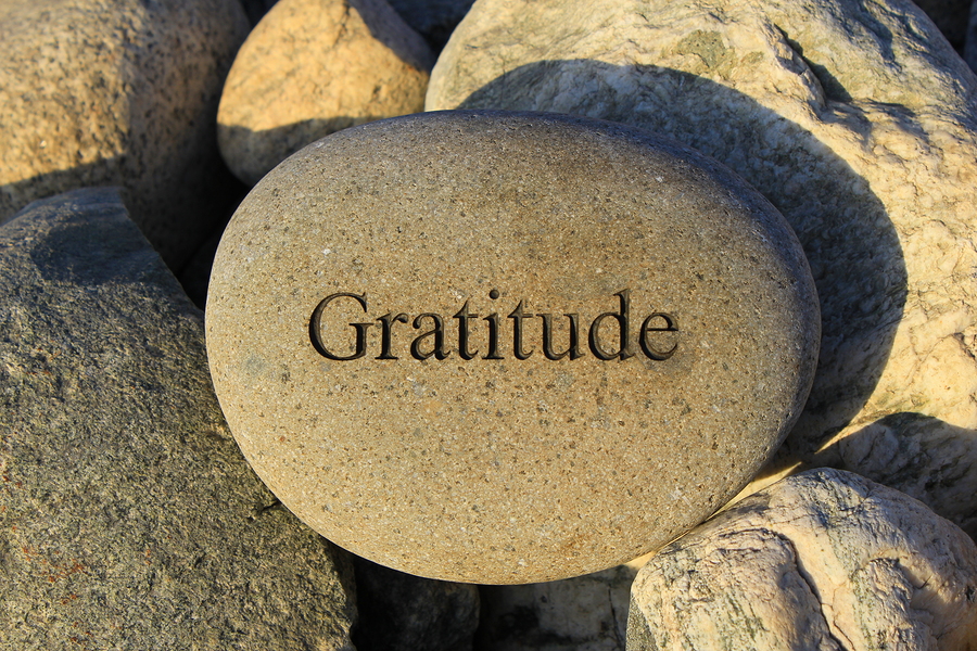 Therapeutic Gratitude